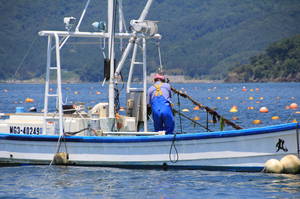 miyagikenishinomakshi 100.jpg